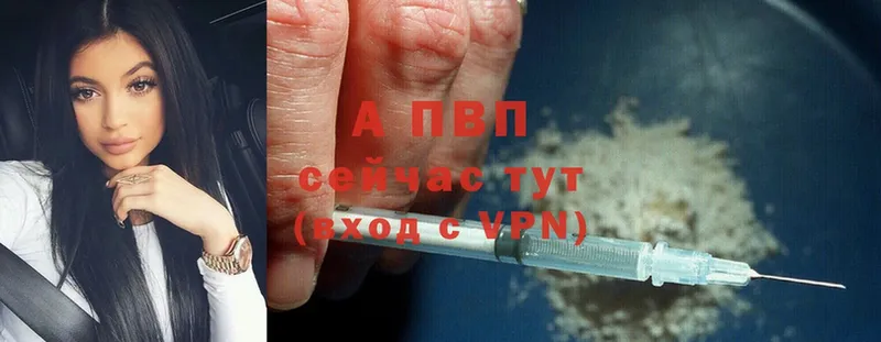 A PVP СК КРИС  Белово 