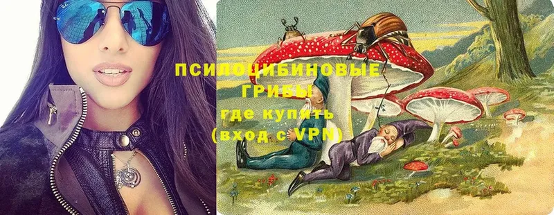 купить   Белово  Псилоцибиновые грибы мухоморы 